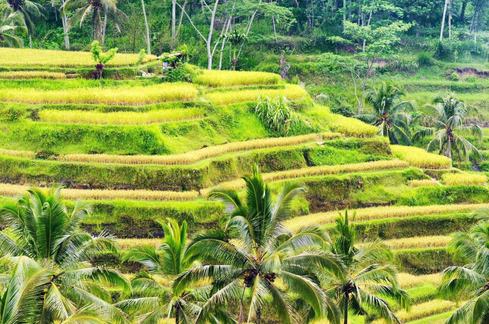 Bali, Lombok, Gili Trawangan - mesebeli vakáció Indonézia szigetein - kiscsoportos körutazás