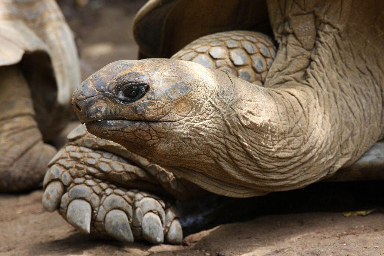 Ecuador és a Galápagos-szigetek mesés világa - kiscsoportos körutazás