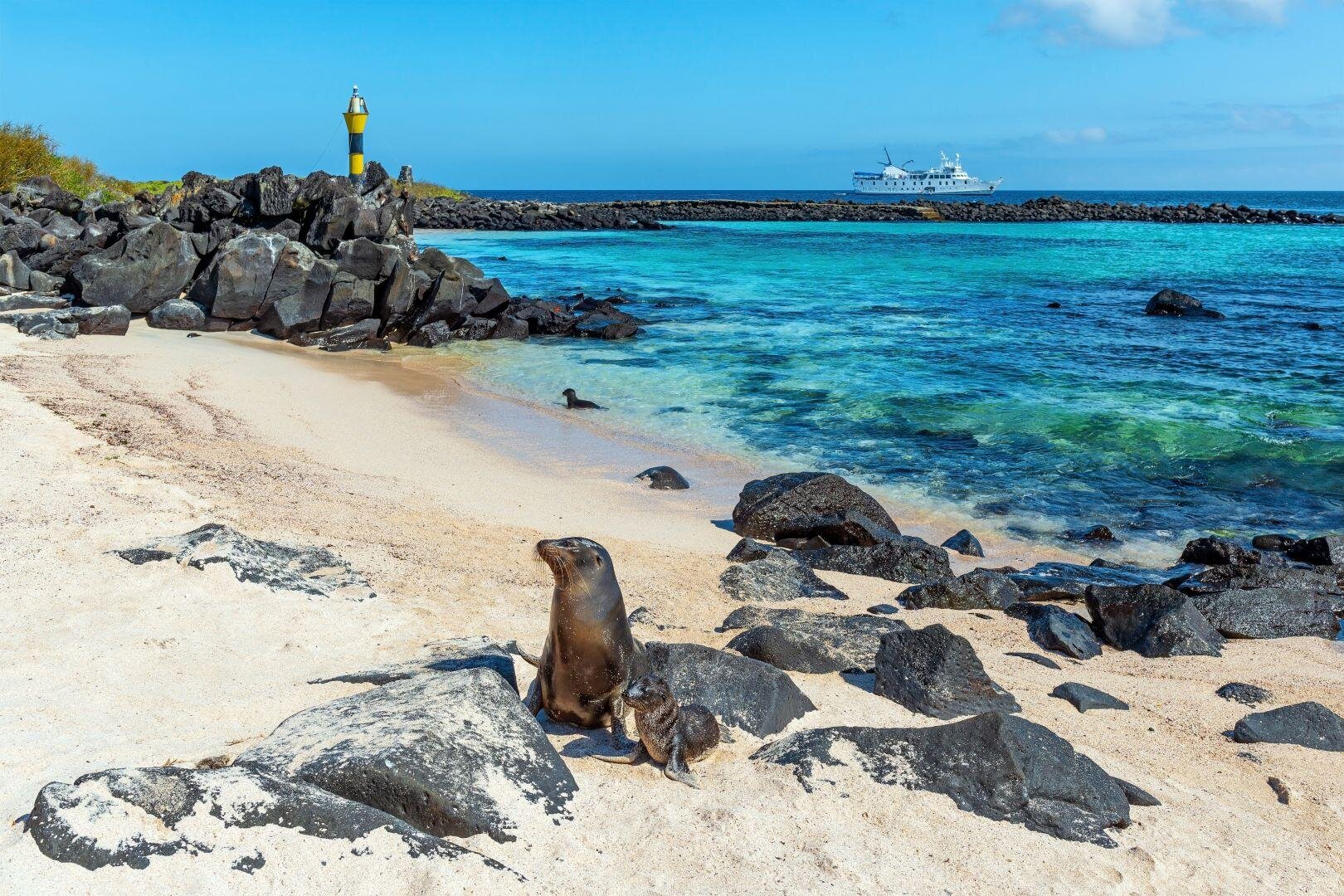 Ecuador és a Galápagos-szigetek mesés világa - kiscsoportos körutazás