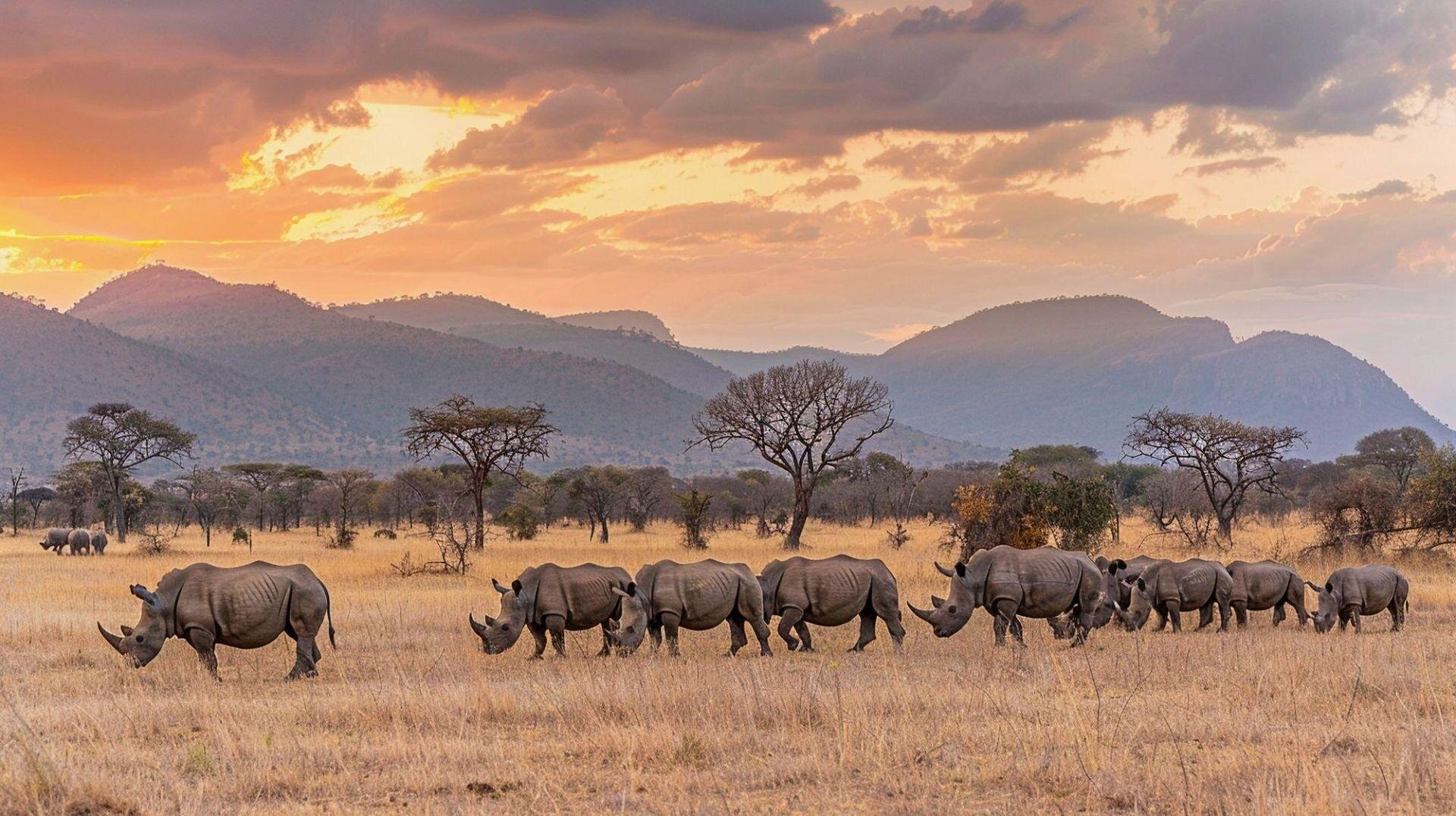 Serengeti szafari program pihenéssel Zanzibár szigetén - csoportos körutazás és nyaralás 2026