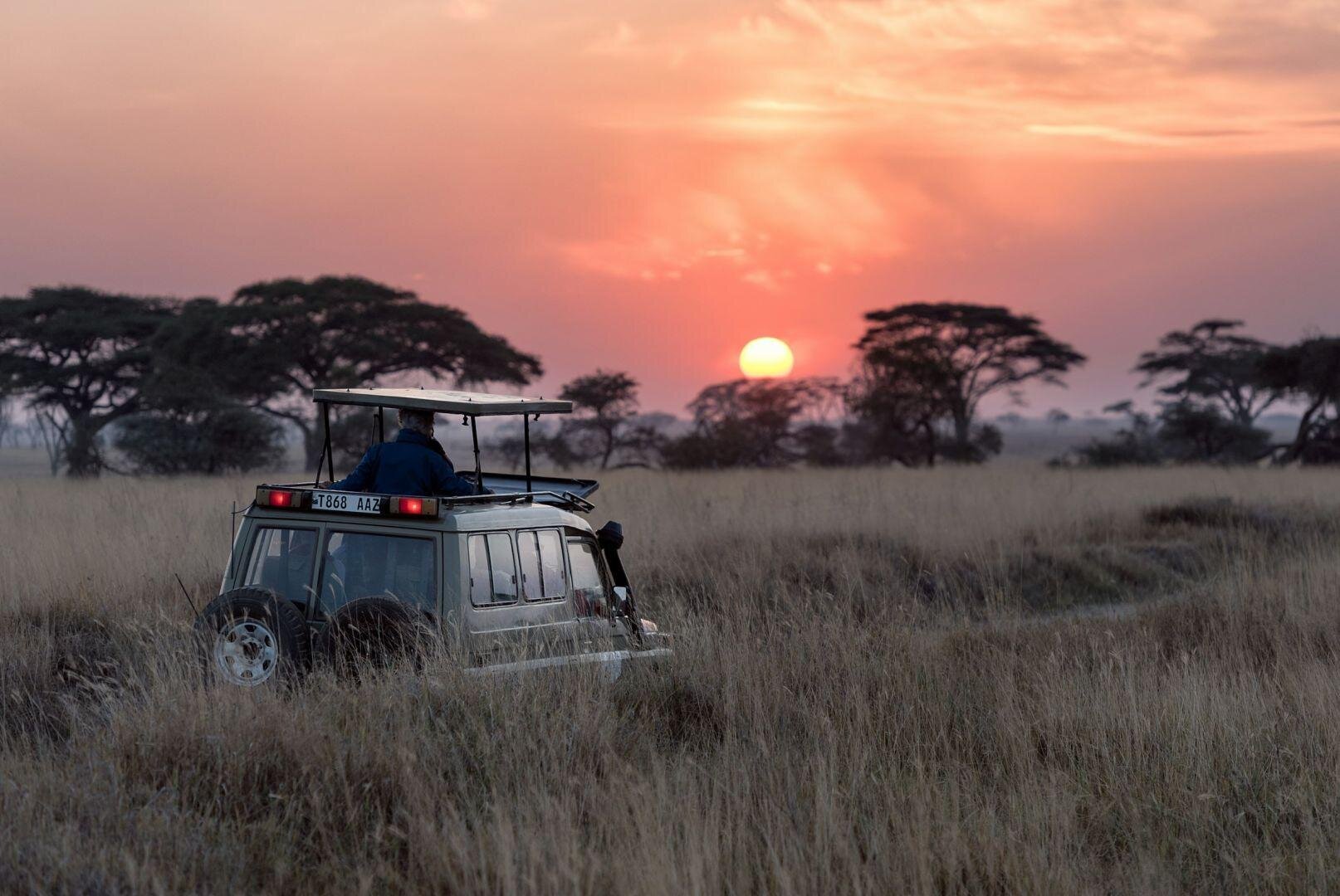 Serengeti szafari program pihenéssel Zanzibár szigetén - csoportos körutazás és nyaralás 2026